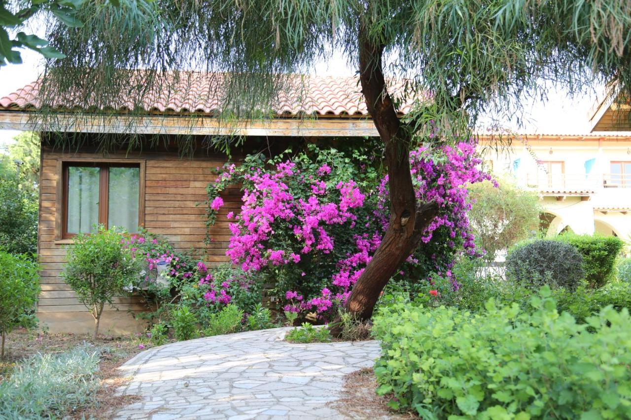 Dar Zitouna Sousse-Tunisie Εξωτερικό φωτογραφία